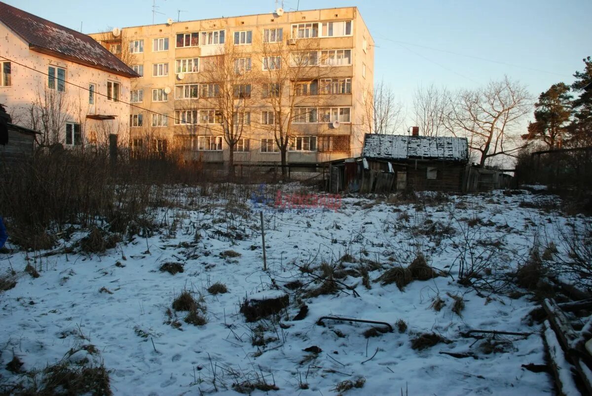 Пеники Ломоносовский. Пеники поселок. Д. Пеники. Пеники история.