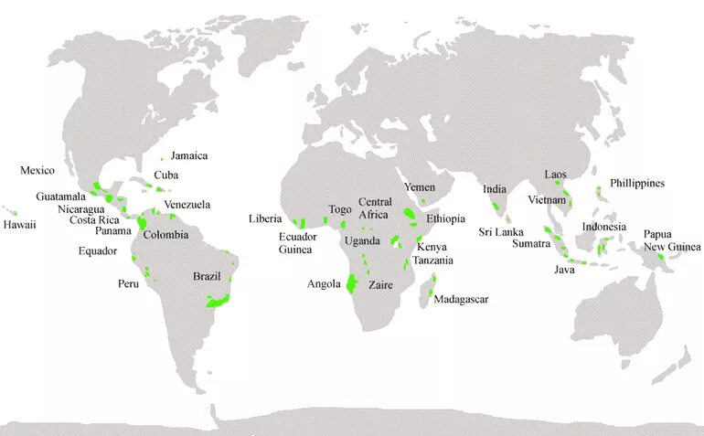 Кофейный пояс земли карта. Карта выращивания кофе в мире. Страна крупнейший производитель кофе