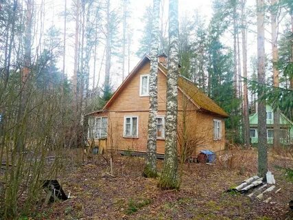 Северный ленинградская область