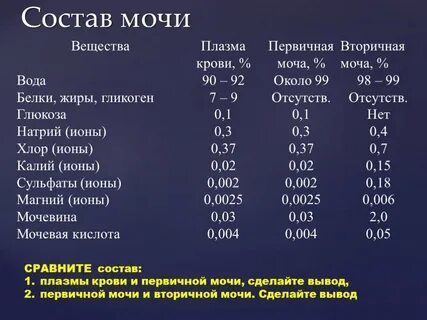 Почечный химический состав