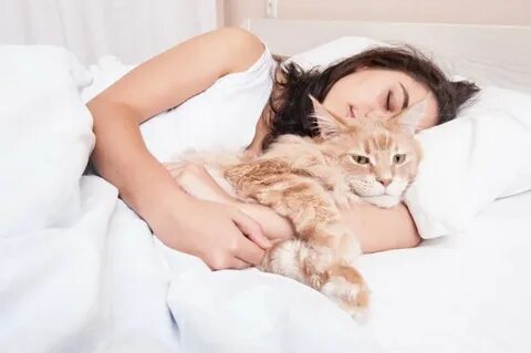 Почему кошка ложится на живот женщине