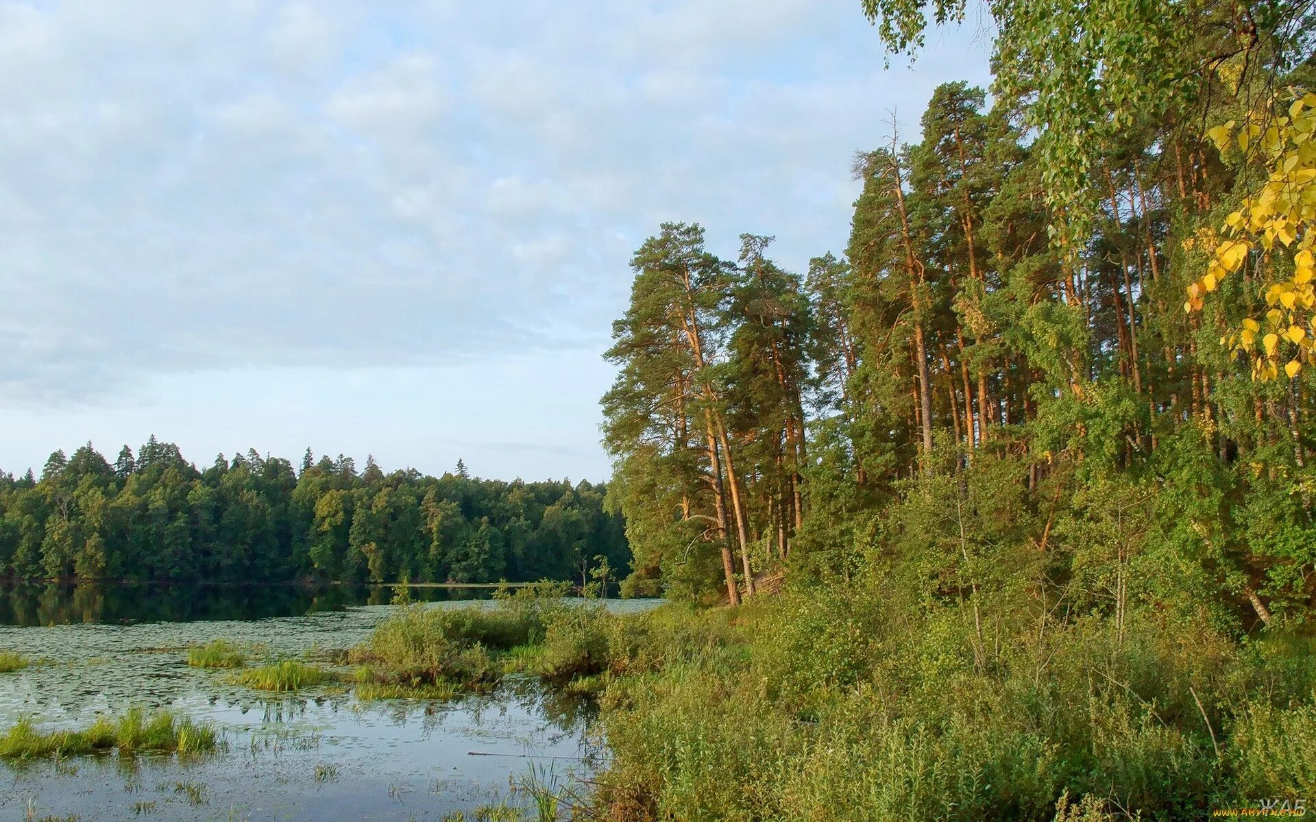 Родной край нижегородской области