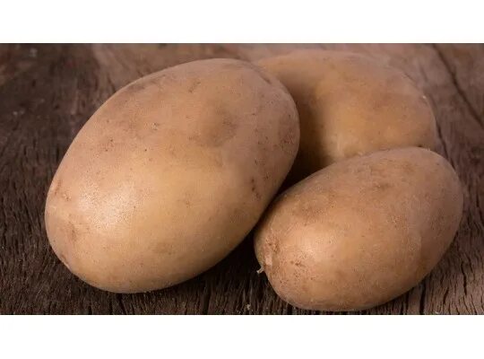 Картофель вектор фото Potatoes vector icon stock vector. Illustration of calories 89444479