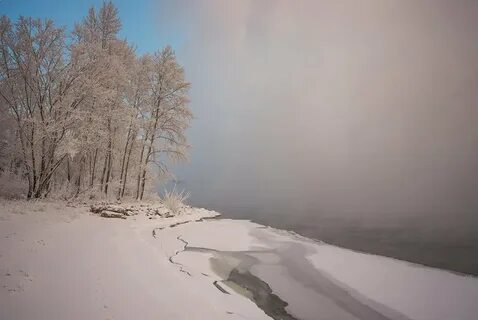 Леса недавно столь густые и берег