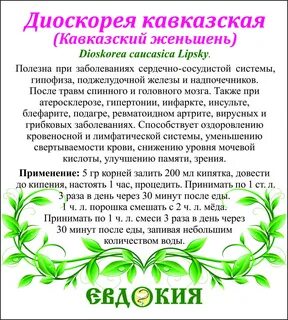Диоскорея отзывы кто принимал