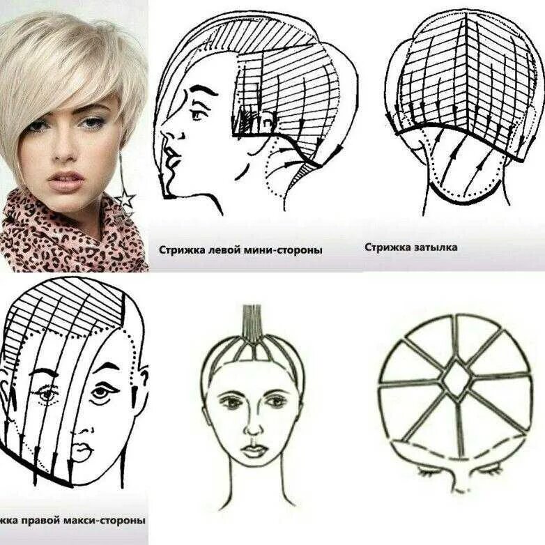 Боб каре схема. Схема стрижки градуированное каре на короткие волосы. Стрижка Боб на короткие волосы схема стрижки. Градуированное каре схема стрижки пошагово. Схема стрижки Боб каре градуированное.