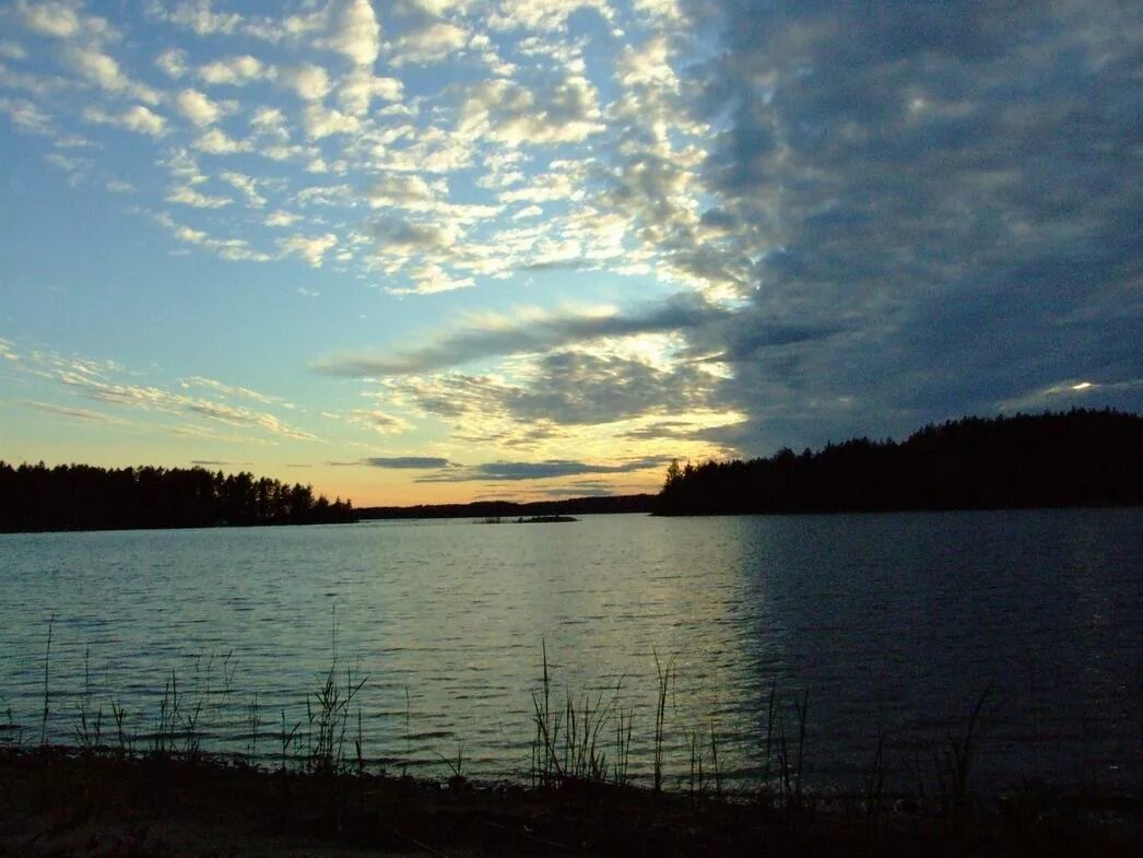 Санкт-петербург летом белые ночи. Белые ночи в санкт-петербурге 2021. Причина белых ночей в санкт-петербурге. Белые ночи в санкт-петербурге в 23:00. День чернее ночи текст.