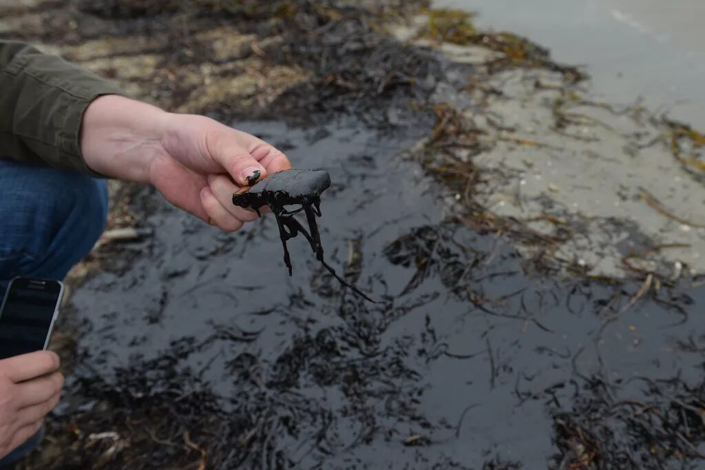 Борьба с загрязнением почвы. Загрязнение почвы и воды нефтью. Разлив нефтепродуктов на почву. Загрязнение почвы нефтепродуктами. Разлив нефти на почву.