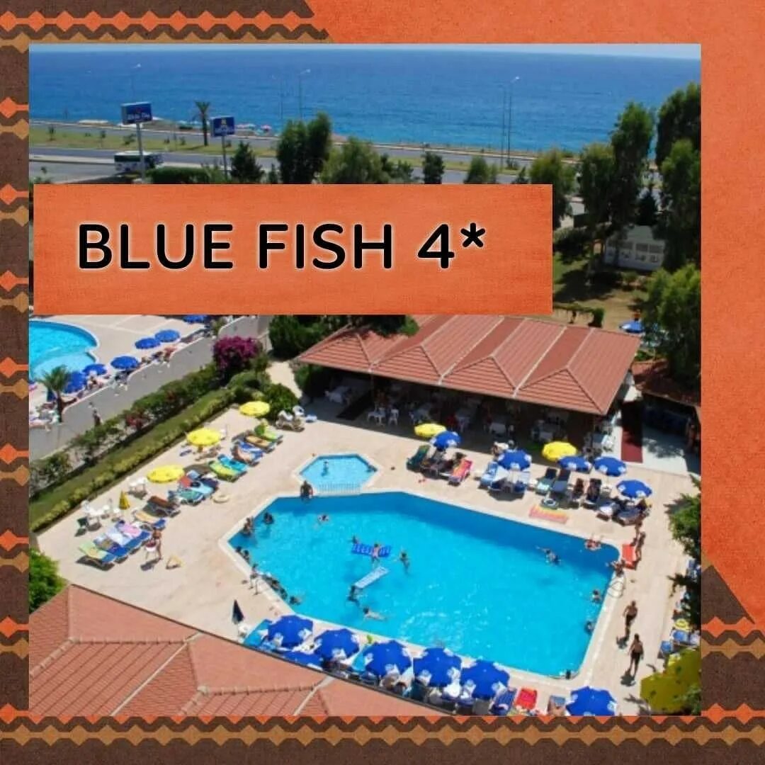 Блю фиш турция аланья. Blue Fish Алания. Blue Fish 4 Турция. Блю Фиш отель Турция. Блю Фиш отель Конаклы на карте.