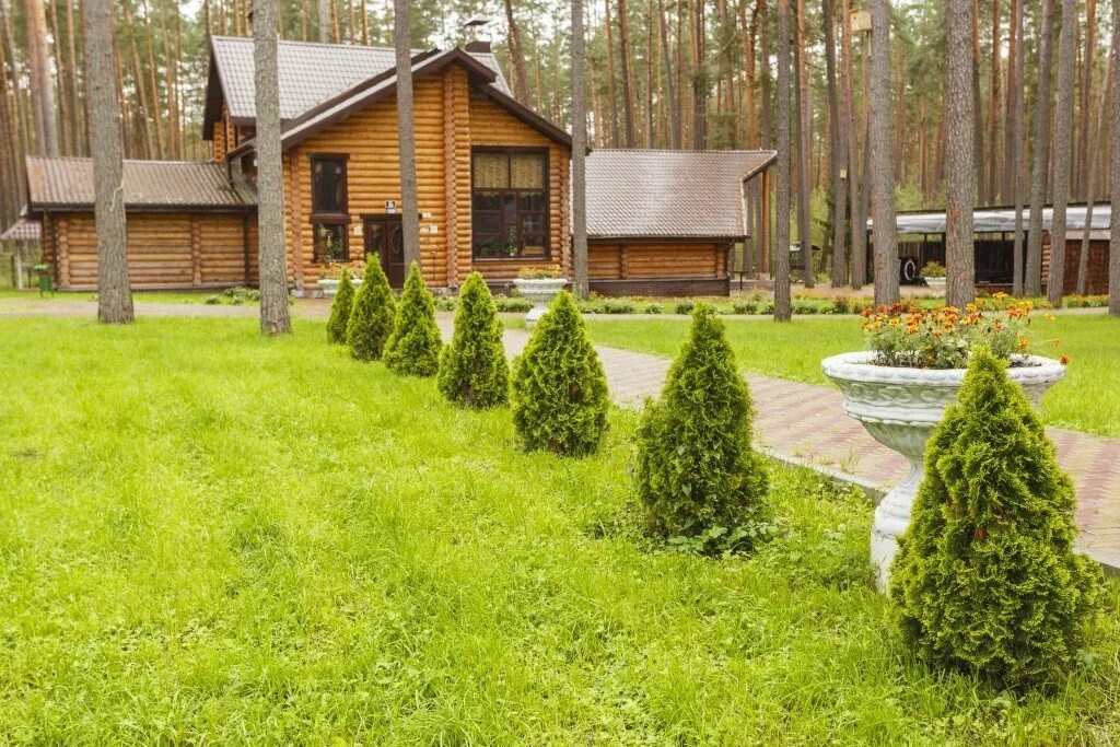 Жуковка отдых. Жуковка отдых
