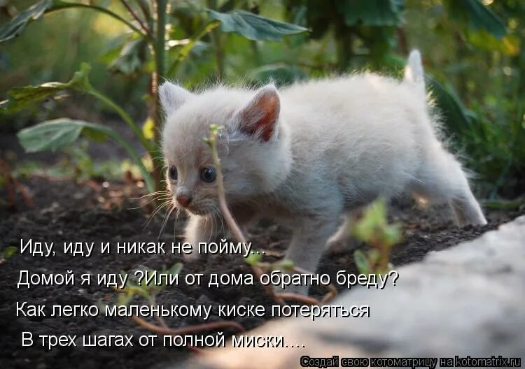 Кота за шкирку можно. Мышь за шкирку. Кота выкинуть за шкирку. Хочу весну поймать за шкирку. Весну за шкирку иллюстрации.