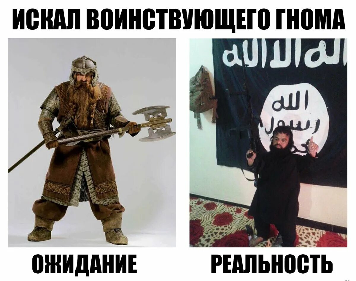 Откуда мем про гномов. Шутки про гномов. анекдоты про гномов. шутки про гнома. гномик прикол.