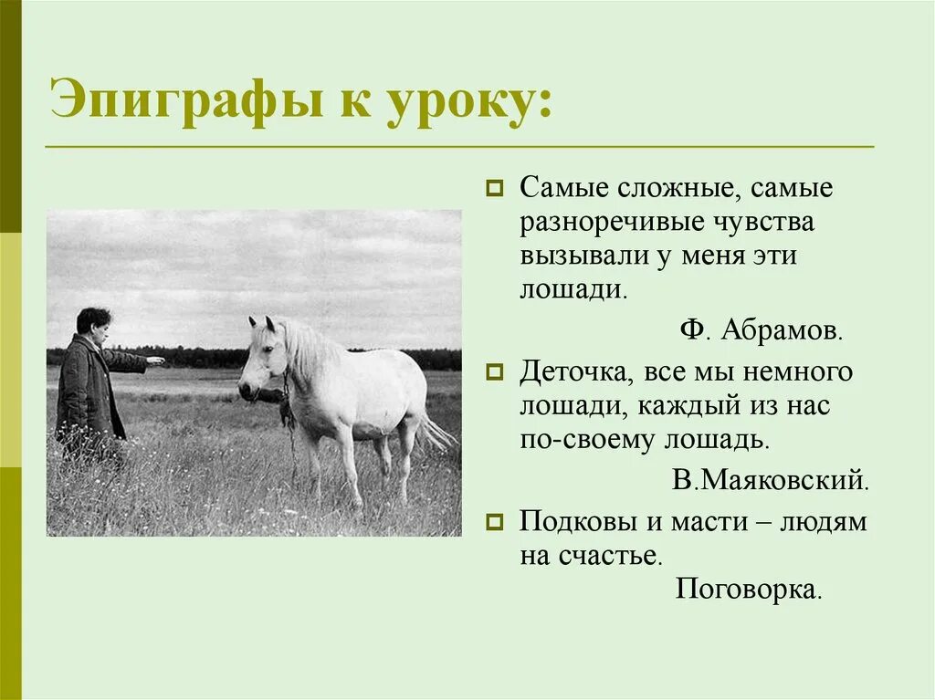 Деточка все мы немножко лошади. Деточка, все мы немного лошади, каждый из нас по-своему лошадь"? ￼. Все мы немного лошади каждый из нас по своему лошадь. О чём плачут лошади. О чем плачут лошади слушать аудиокнига