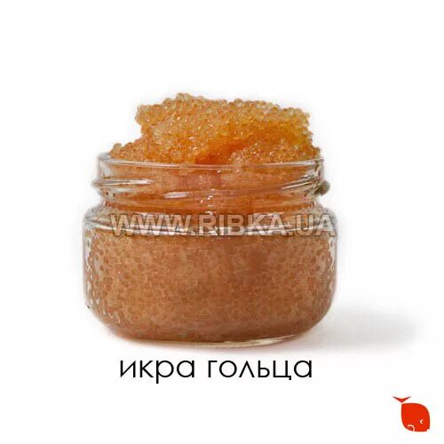 Рыба голец икра. Икра гольца.