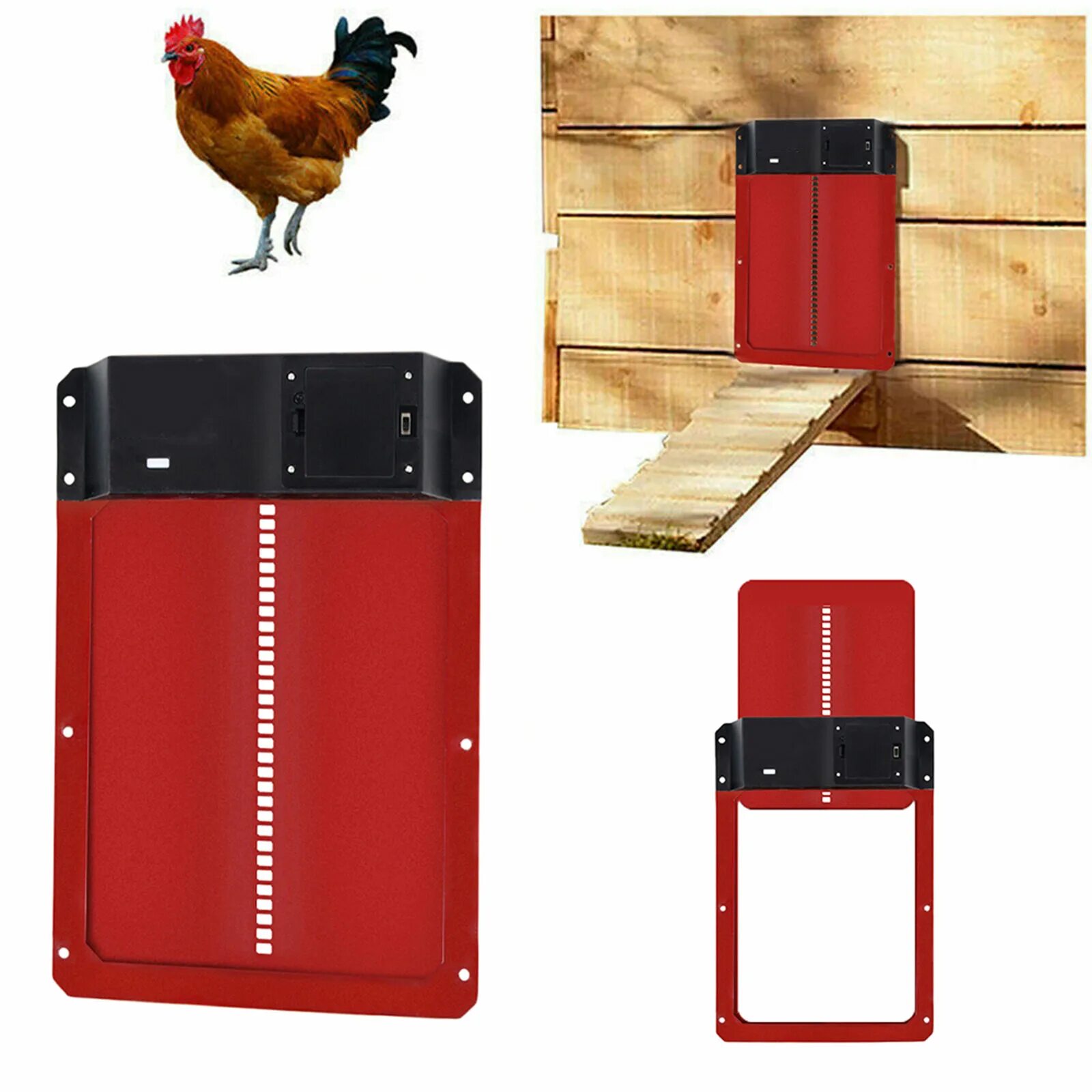 Вспен вшийся курица кудахч т. Automatic Chicken Coop Door. Automatic Chicken Coop. Chicken Coop Automatic Door algorithm. Раст Chicken Door.