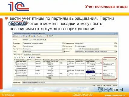 Как вести учет активов