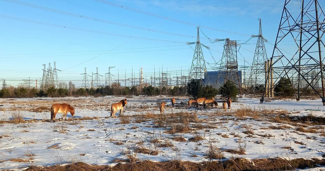 Chernobyl 2023. Чернобыль 2023. Припять 2023. Чернобыльская АЭС 2023. Чернобыль АЭС сейчас 2023.