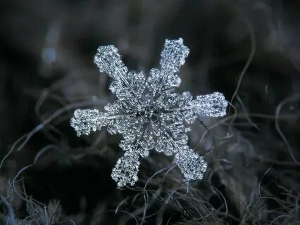 Snow flake