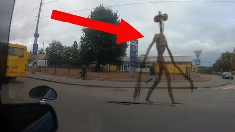 Покажи видео про жизнь