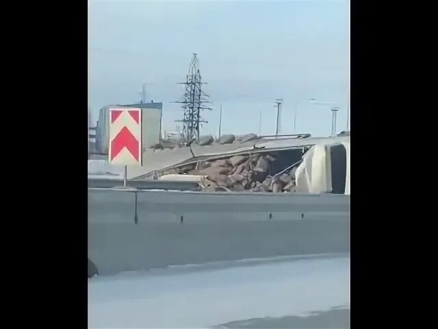 Поезд мегион
