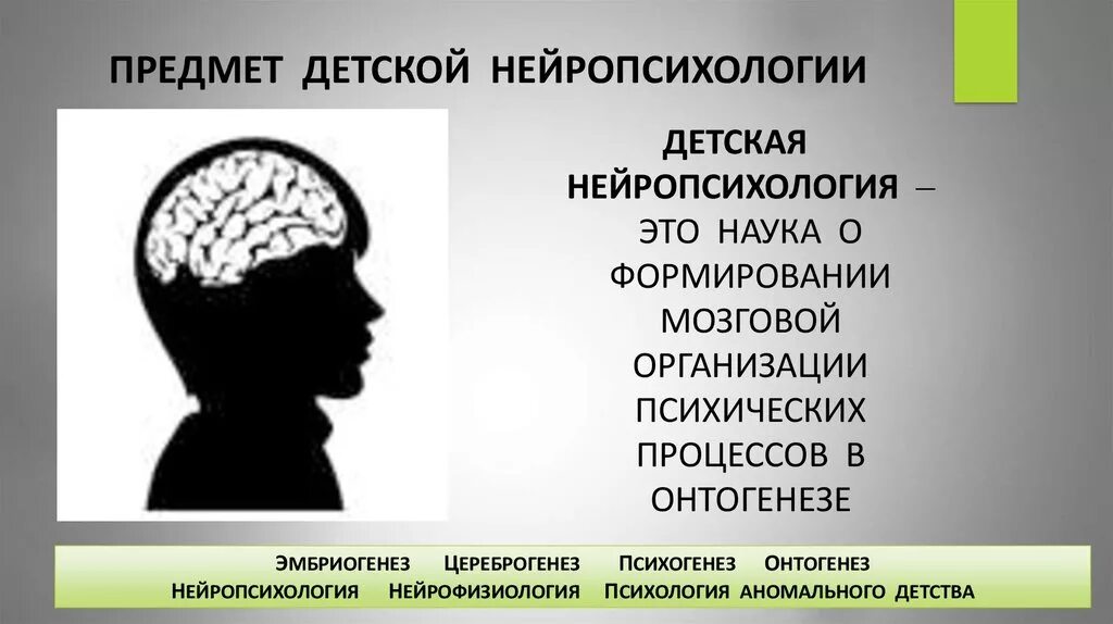 Концепции нейропсихологии. Презентация по нейропсихологии. Нейропсихология это наука. Детская нейропсихология.