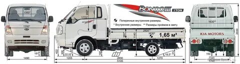 Бонго размеры