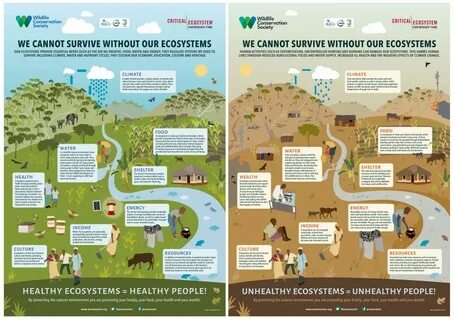 Are you interested in the environment