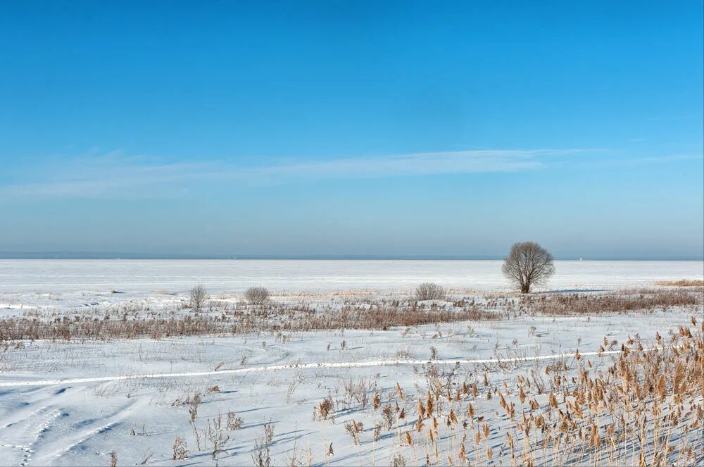 Зима плещеева