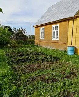 Погода климовское череповецкий на 5 дней
