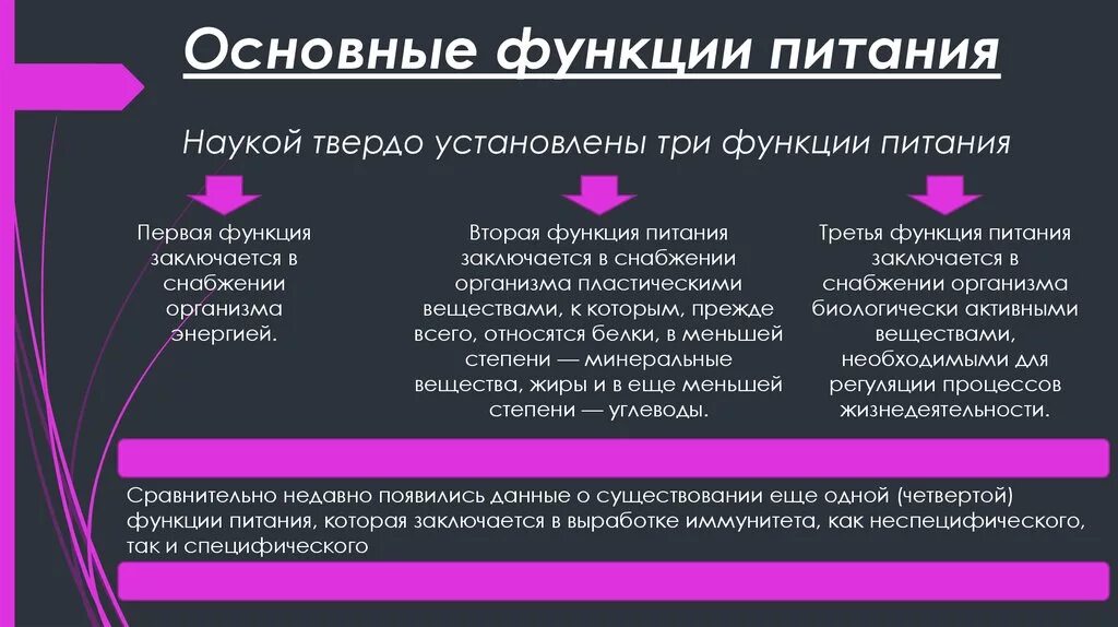 Основные функции пищи