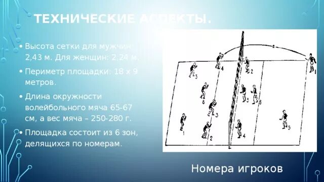 Вес мяча в волейболе. Вес мяча в волейболе