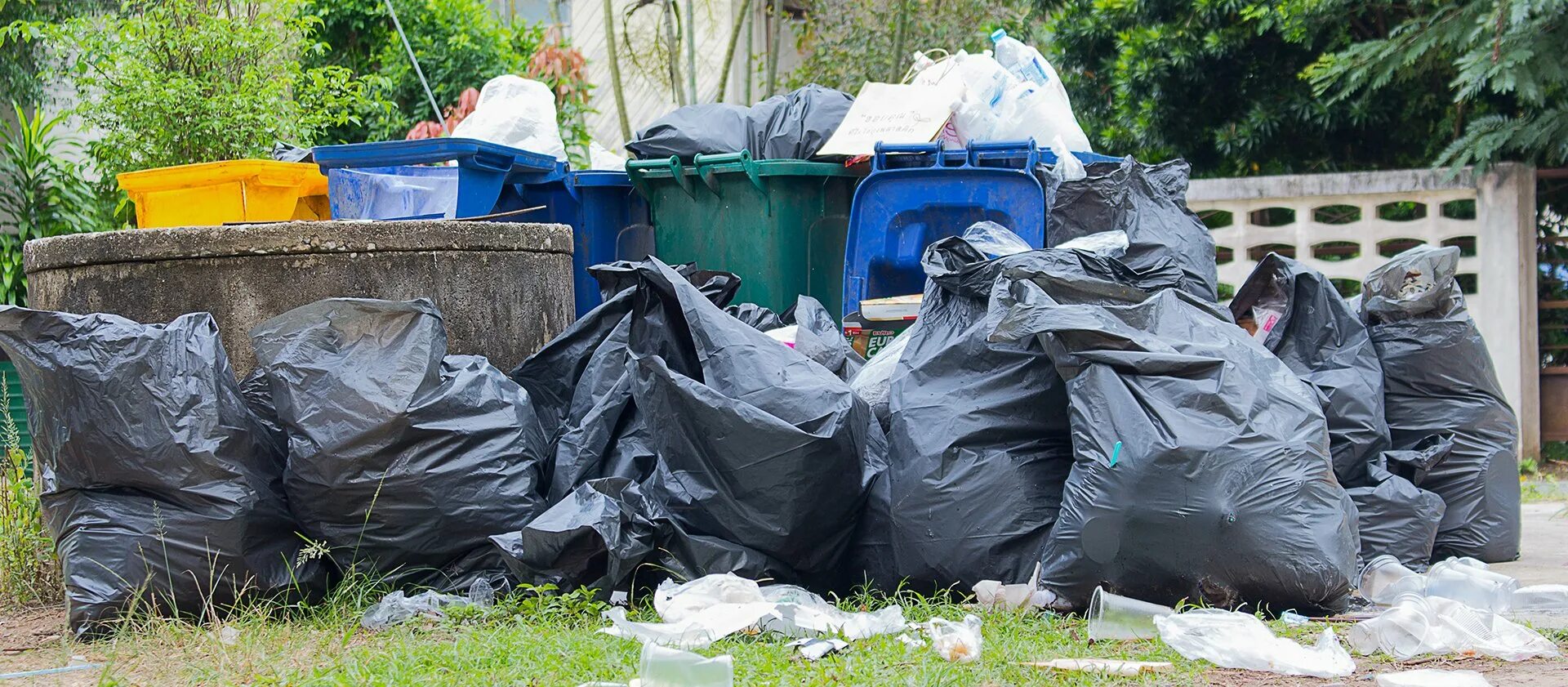 Waste removal. Waste removal. Waste removal. Waste management мусоровоз. Garbage container.