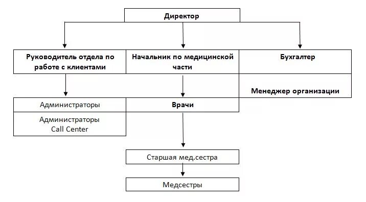 Структурная схема организации ветеринарная клиники План маркетинга, Анализ рынка ветеринарных услуг г. Рязани Бизнес–план ветерин