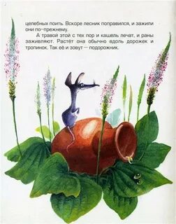 Сказочная история о культурном растении или дикорастущем