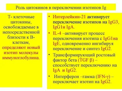 Переключение классов иммуноглобулинов