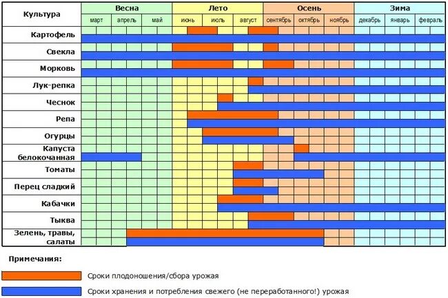 Сезонный период. Таблица созревания овощей и фруктов в России. Сроки созревания овощей таблица. Сезонные фрукты и овощи по месяцам в России таблица. Сезонность овощей и фруктов таблица Россия.