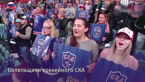 Литвин напал на фаната ска