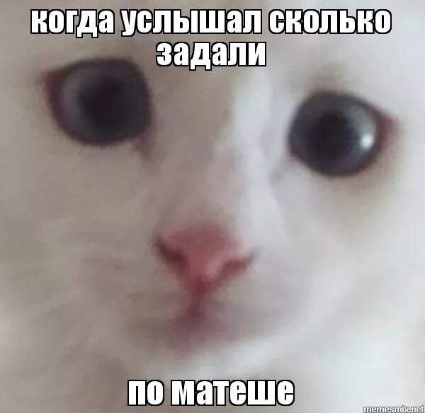 Звёздочки не закрашенные. Задачки про почтальона. Матеша мем. Задания от почтальона печкина для детей. Сколько звездочек.