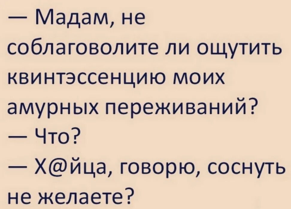 Квинтэссенция моих амурных переживаний. Амурные переживания это. Мадам не соблаговолите ли ощутить квинтэссенцию моих амурных. Мадам не соблаговолите ли ощутить. Квинтэссенция что это простыми