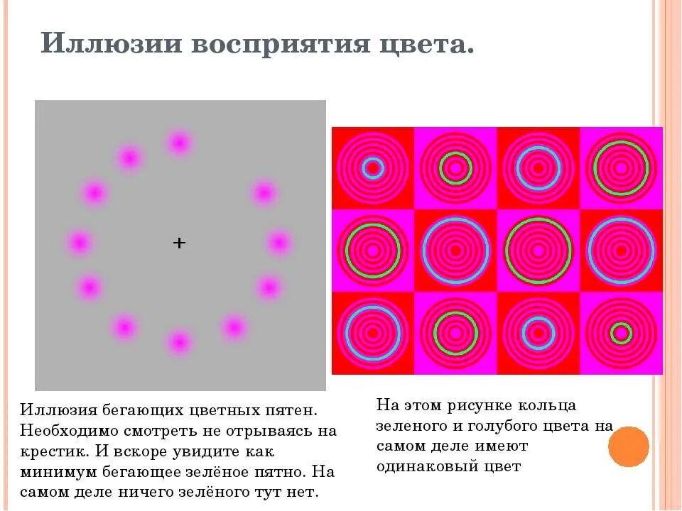 Цветок обмана. Иллюзия восприятия цвета. Оптические иллюзии восприятия цвета. Цветовые иллюзии восприятия. Иллюзия цветового зрения.