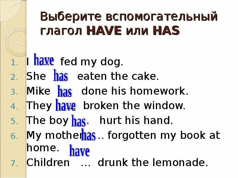 I feed перевод. Вспомогательные глаголы have has. His have или has. Глагол have или has. Выбери вспомогательный глагол have или has.