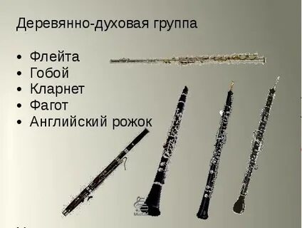 Коллега кларнетиста 7 букв