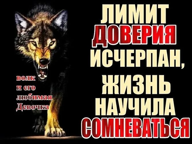 Предел доверия. Лимит доверия исчерпан. Так хочется верить людям. Так хочется верить людям так нет же. Лимит доверия исчерпан жизнь научила сомневаться.