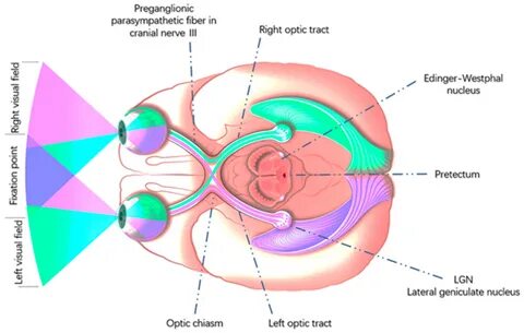 Applsci 12 07970 g002. 