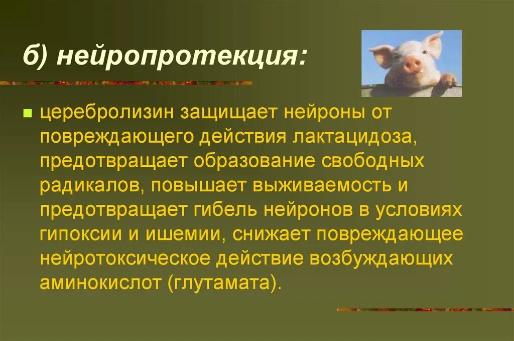 Нейропротекция. Нейротоксический эффект. Нейротрофическая активность. Трегалоза нейропротекция.