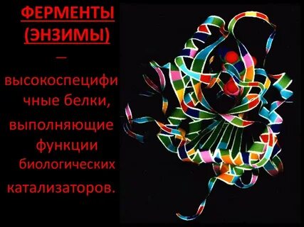 Ферменты биологические катализаторы 10 класс пасечник