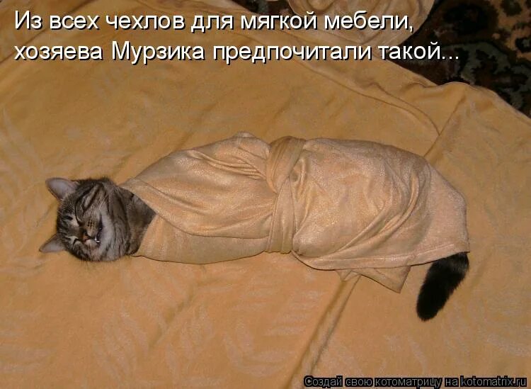 Эхх. Эхх картинки. Недоесть лучше. Кота запеленали. Нет повести печальнее на свете чем повесть.