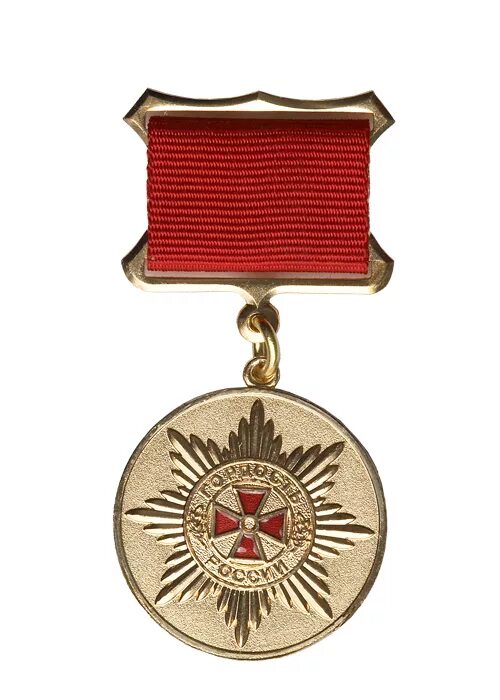 награда спицына. награды пушкина. награда за успех. награда за достижение в науке. награда за.