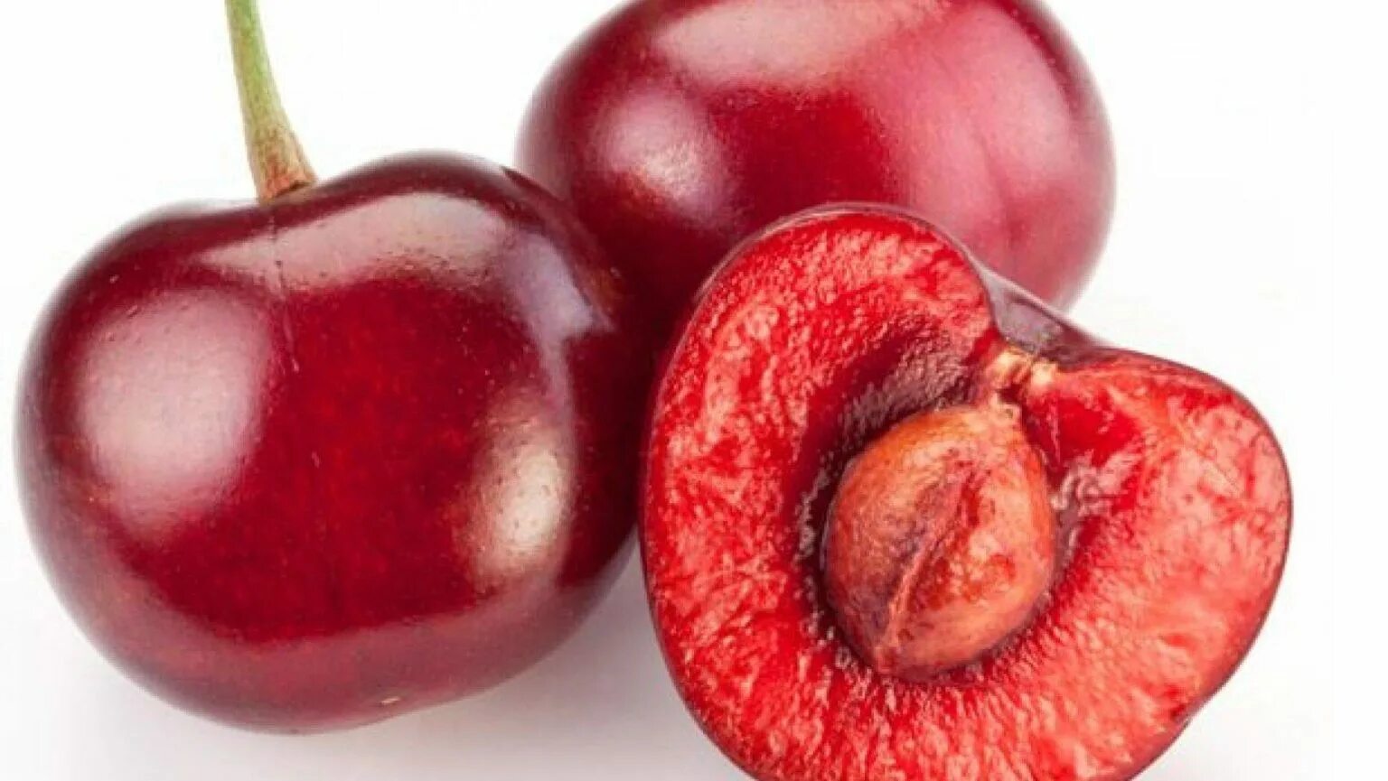 вишня обыкновенная любская. косточковые плоды вишня. слива плод костянка. вишня мценская. косточковые плоды вишня.