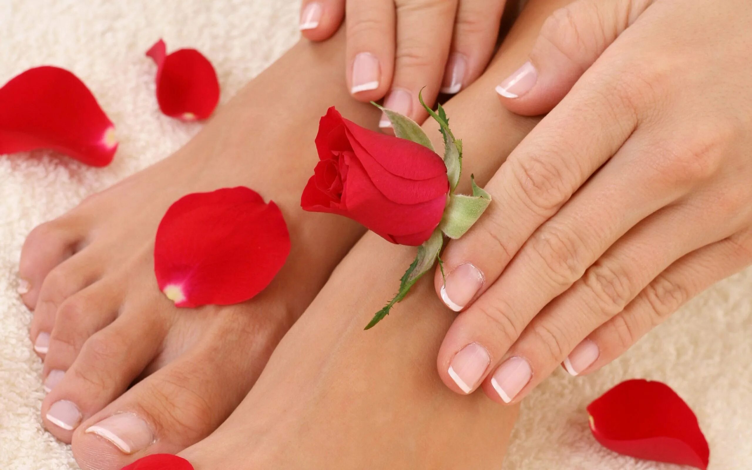 Manicure pedicure. Маникюр и педикюр. Красивый педикюр. Маникюр картинки. Ухоженные руки и ноги.